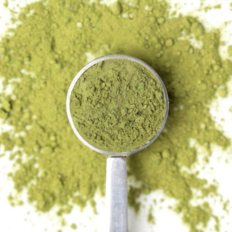 honey bunny matcha tea powder