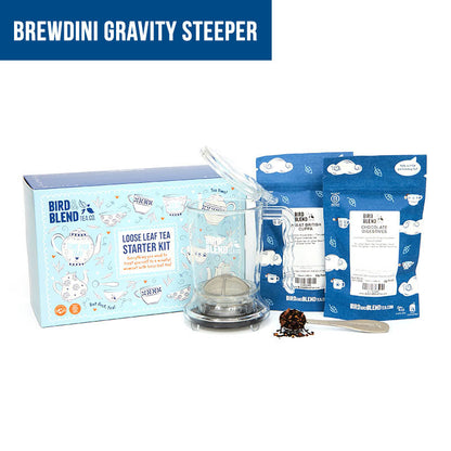 brewdini loose leaf tea starter kit